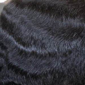 Meet your Posher, Ramon